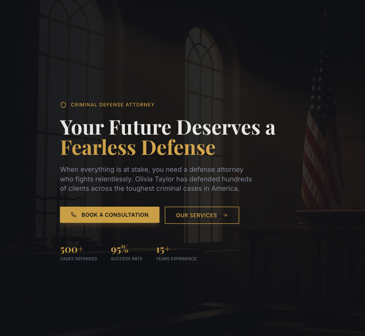 Criminal Defense Lawyer